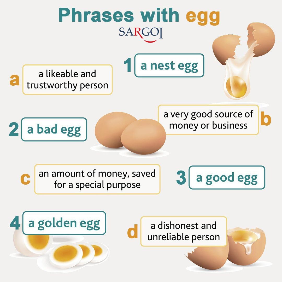 Your MINI-TASK is to look through the phrases with egg and match them with their meanings.