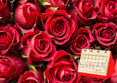 7 лютого: День троянди