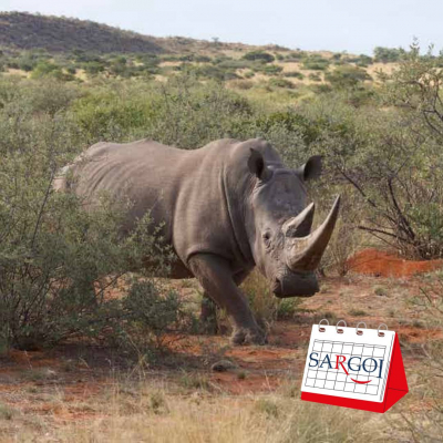 It’s September 22nd and it’s World Rhino Day