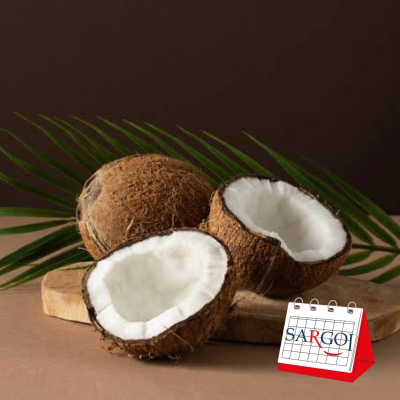 It’s September 2nd and it’s World Coconut Day