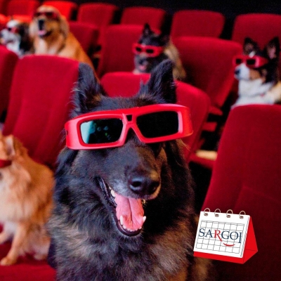 It&#039;s November 6th and it&#039;s The Dog Film Festival Day 