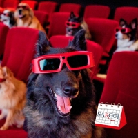 It's November 6th and it's The Dog Film Festival Day 